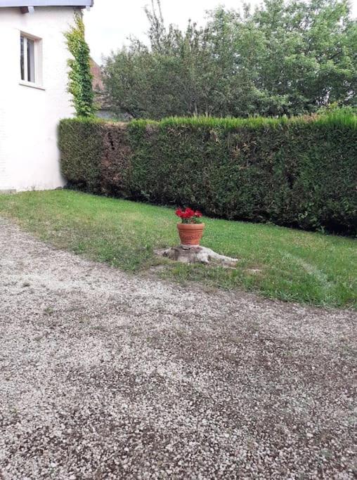 Super Logement En Plein Coeur De La Ville , Chez Tify Brienne-le-Chateau Dış mekan fotoğraf